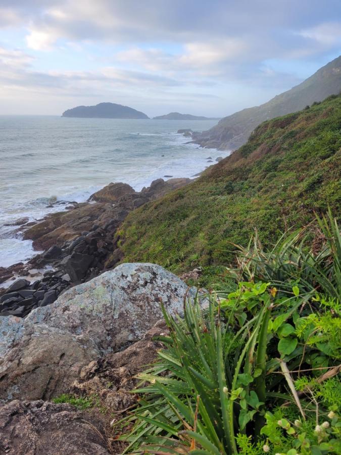 Apartamento Entre A Montanha E Do Mar Leilighet Florianópolis Eksteriør bilde